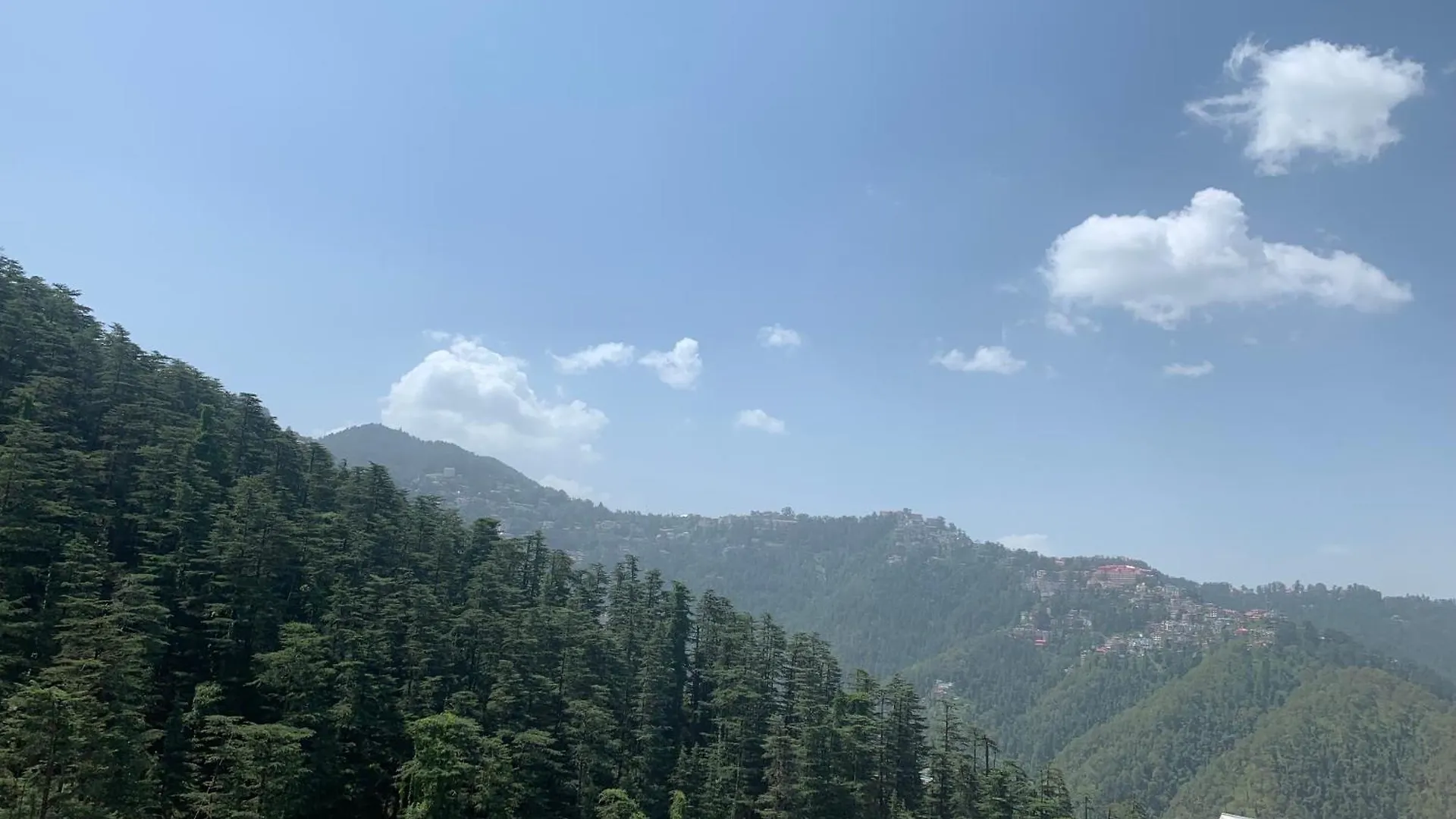 The Gingergrass Apartment Shimla 0*,  India